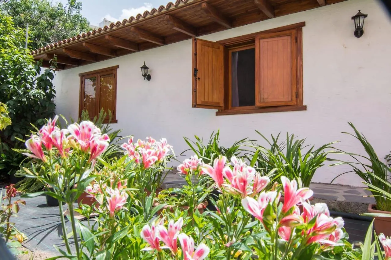 Cozy House Casa Vero Mai Icod De Los Vinos Holiday home