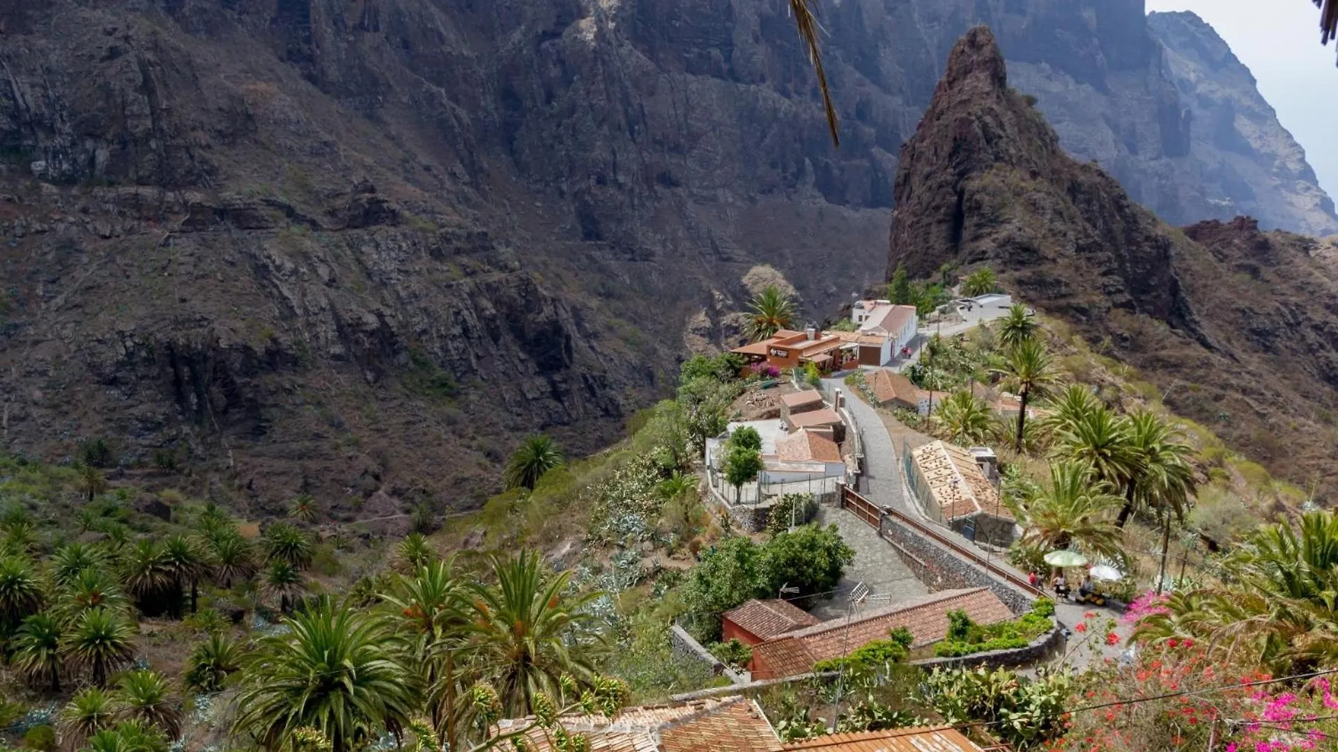 Cozy House Casa Vero Mai Icod De Los Vinos Holiday home