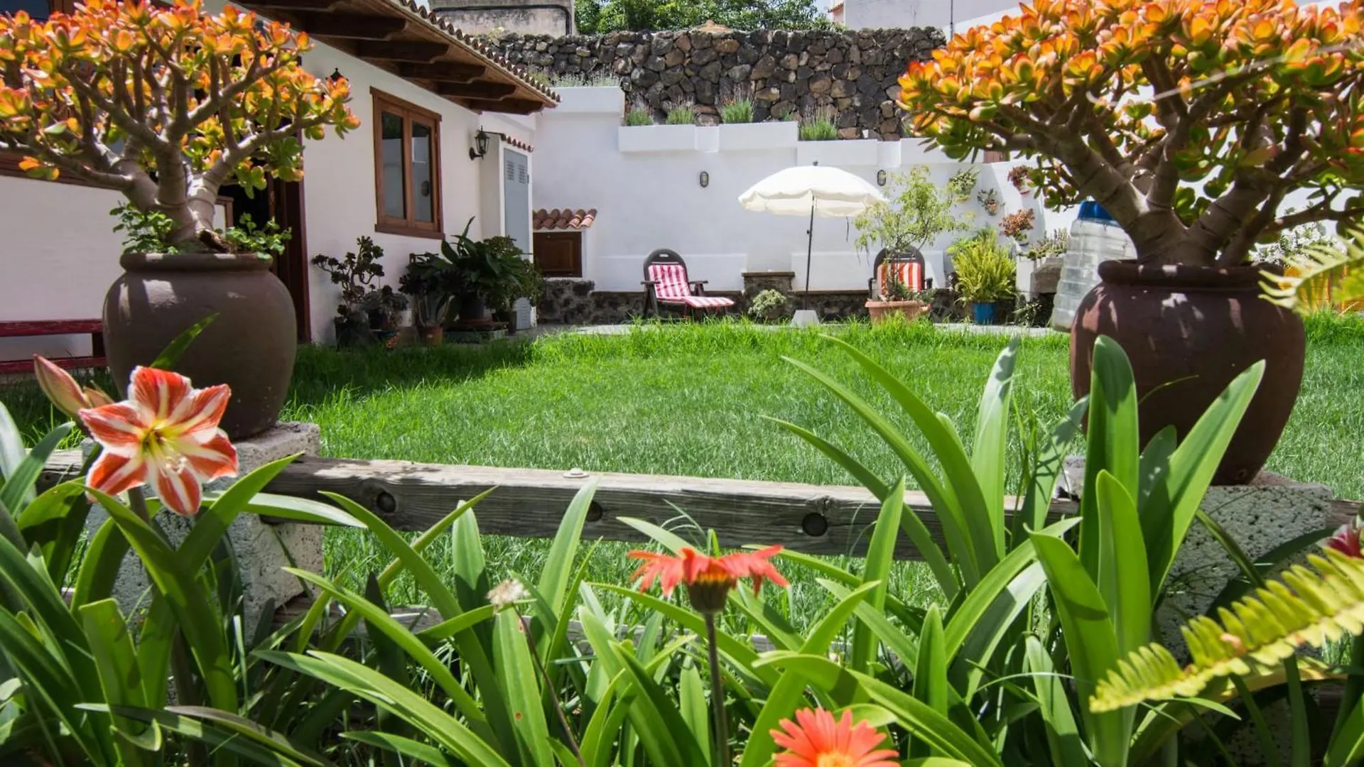 Holiday home Cozy House Casa Vero Mai Icod De Los Vinos
