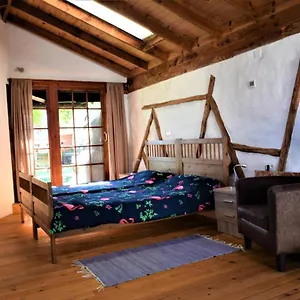Ferienhaus Casa Madera 1, Icod De Los Vinos